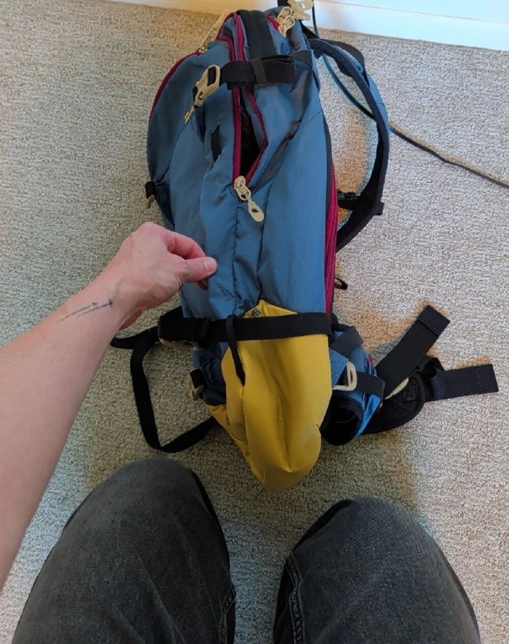 Dakine Blue Ski/Snowbard Backpack